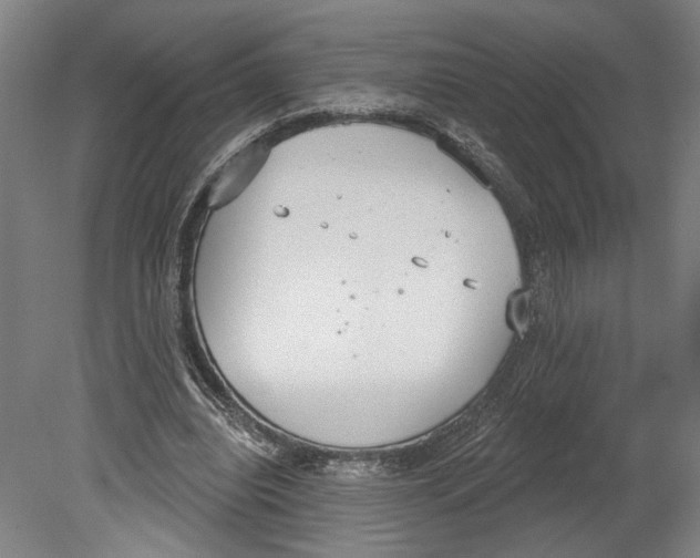 X0000080670440200701051012