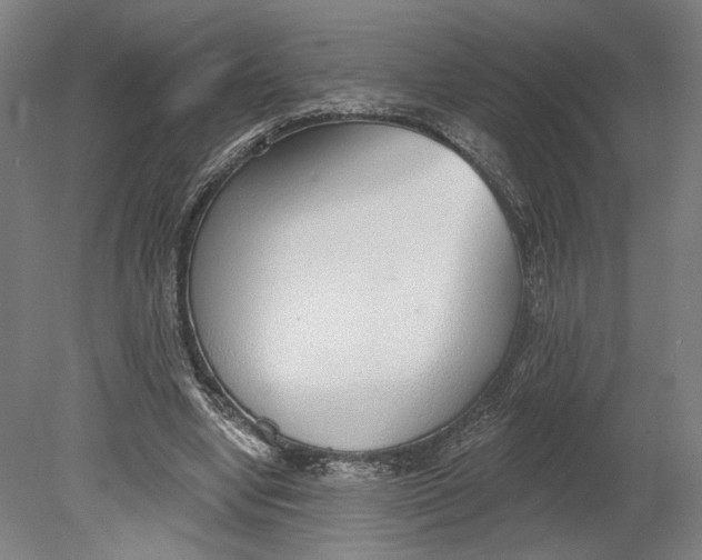 X0000080670442200701051012