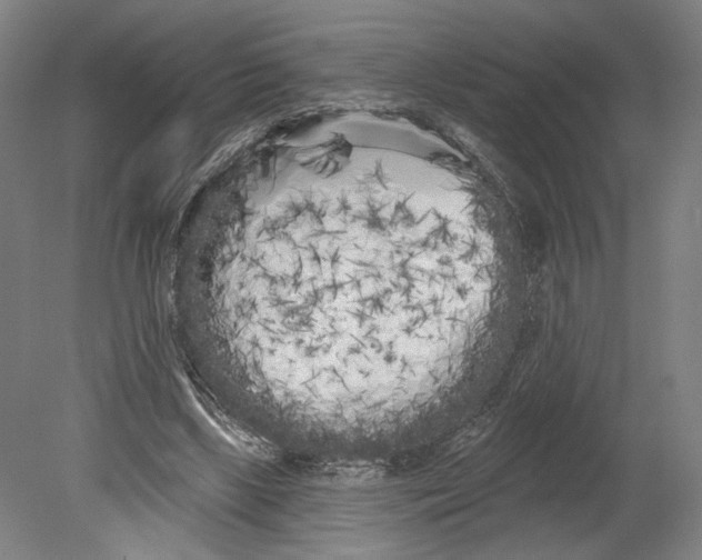 X0000080670443200701051012