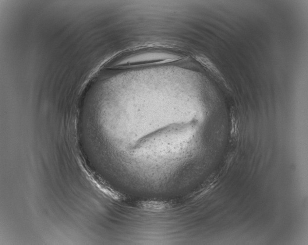 X0000080670444200701051012