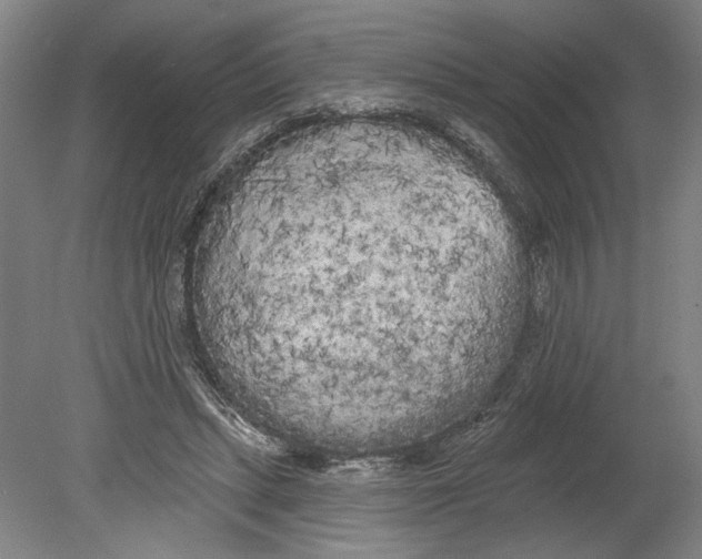 X0000080670447200701051012