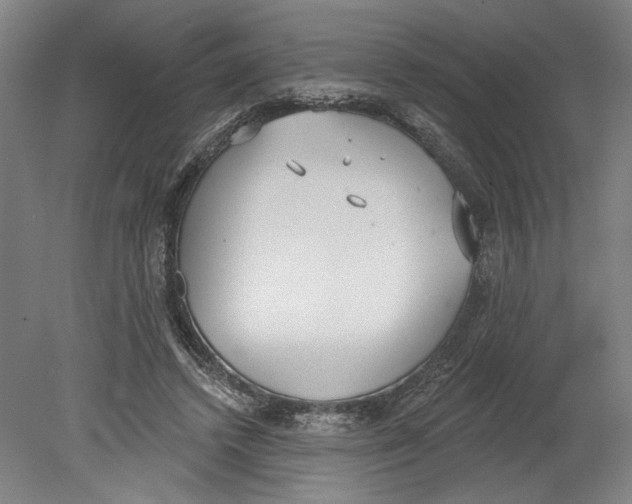 X0000080670448200701051012