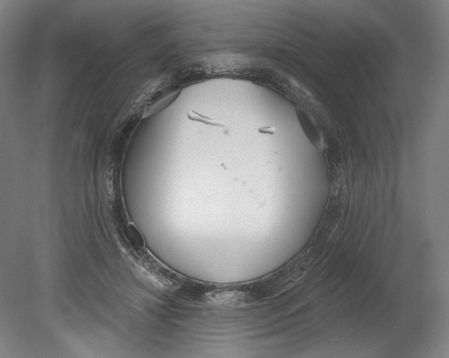 X0000080670452200701051012