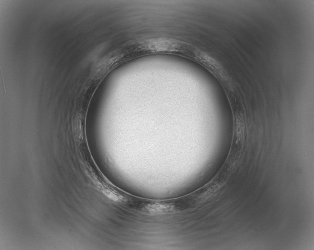 X0000080670453200701051013