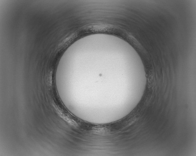 X0000080670454200701051013