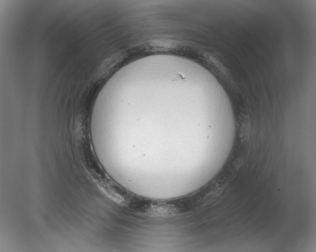 X0000080670455200701051013