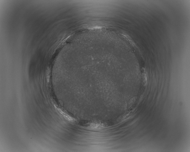 X0000080670458200701051013