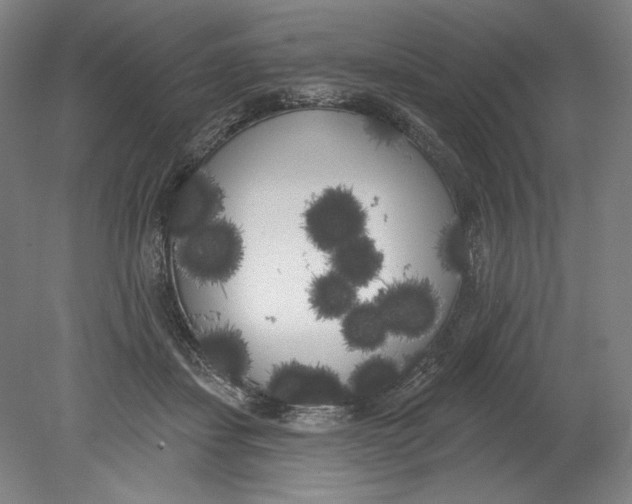 X0000080670459200701051013