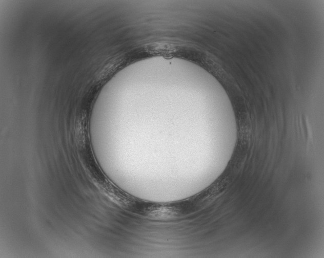 X0000080670460200701051013