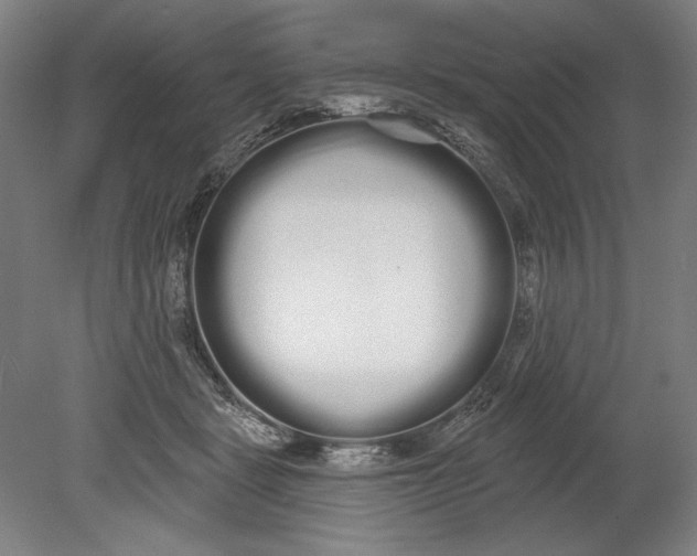 X0000080670461200701051013