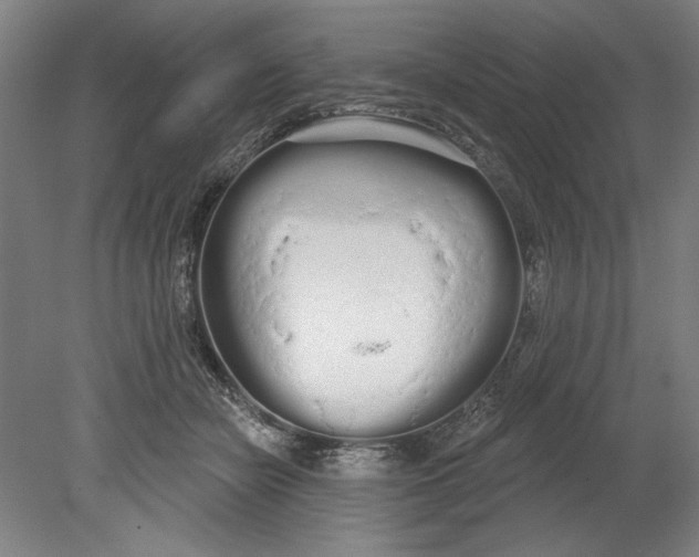 X0000080670462200701051013