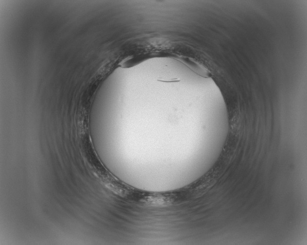 X0000080670464200701051013