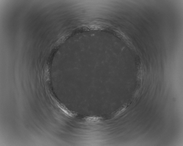 X0000080670465200701051013