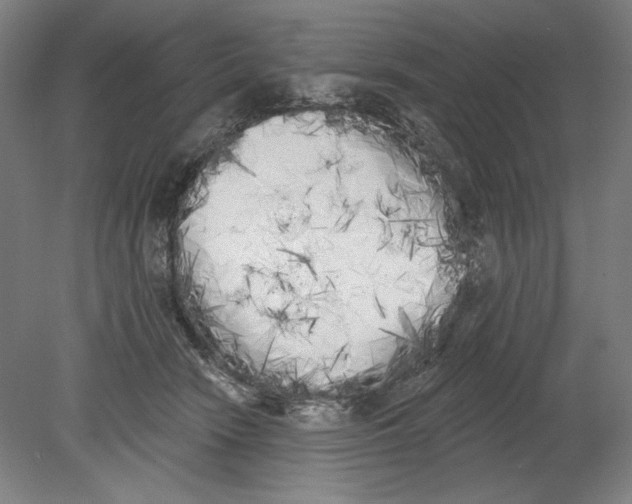 X0000080670466200701051013