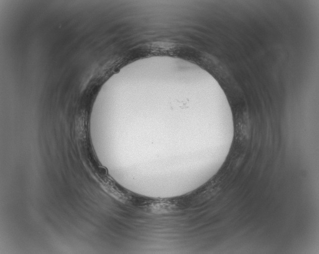 X0000080670468200701051013