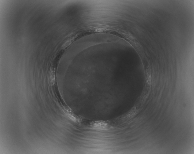 X0000080670471200701051013