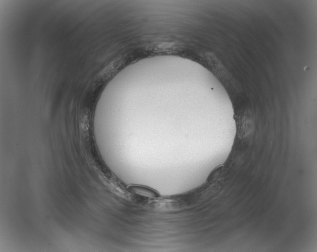 X0000080670472200701051013