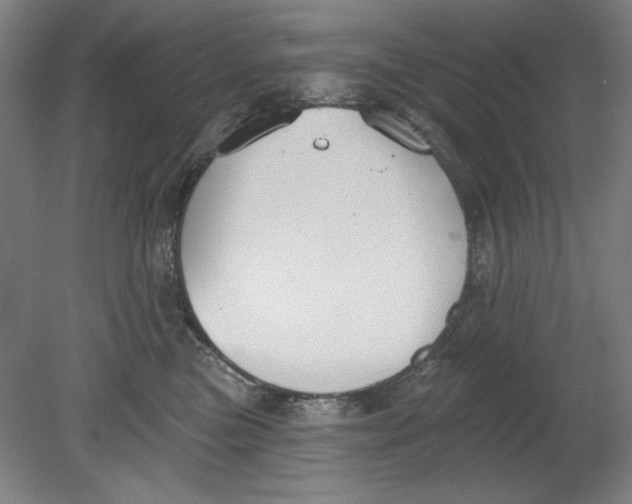 X0000080670473200701051013