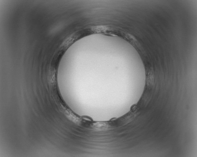 X0000080670477200701051013