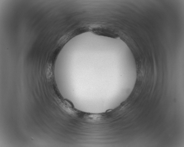 X0000080670478200701051013