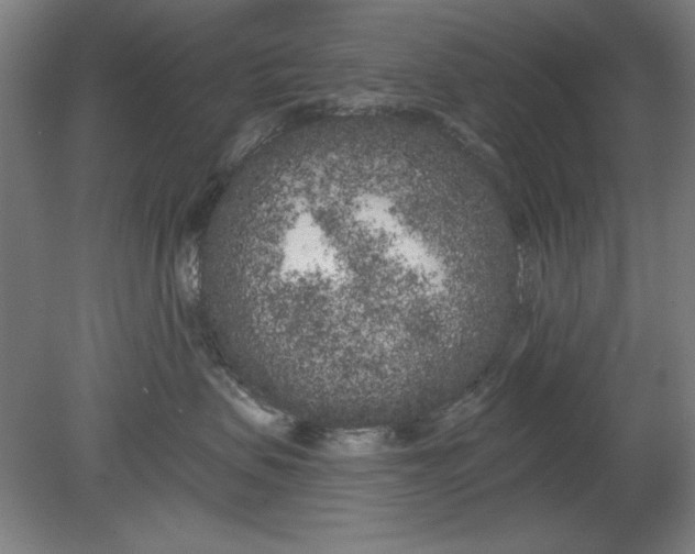 X0000080670479200701051013