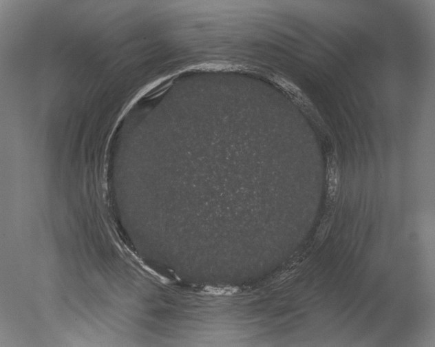 X0000080670484200701051012