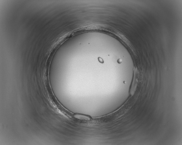 X0000080670485200701051012