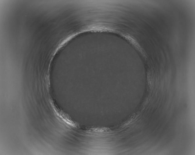 X0000080670488200701051012