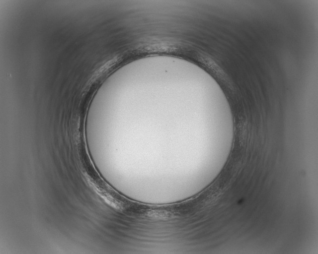 X0000080670490200701051012