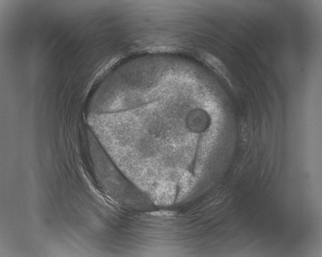 X0000080670491200701051012