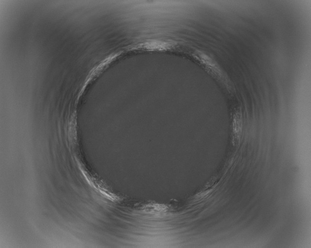 X0000080670492200701051012