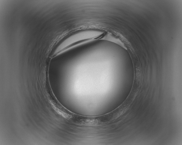 X0000080670493200701051012