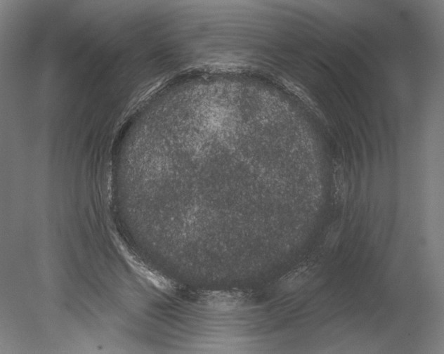 X0000080670494200701051012