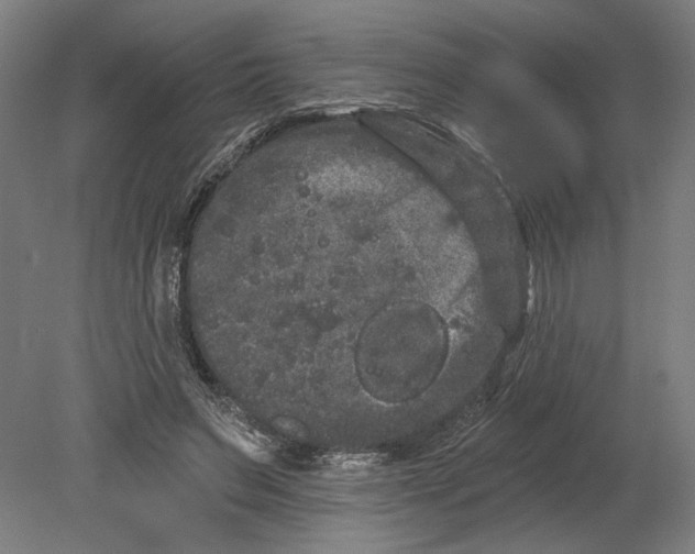 X0000080670495200701051012