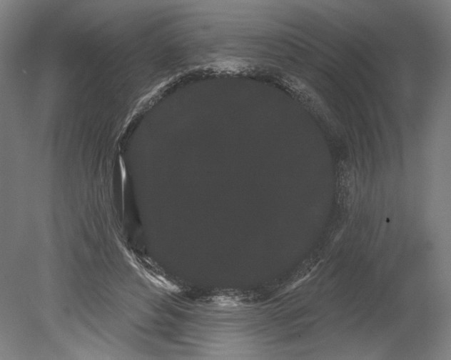 X0000080670496200701051012