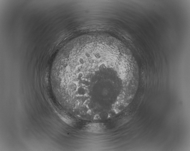 X0000080670499200701051012