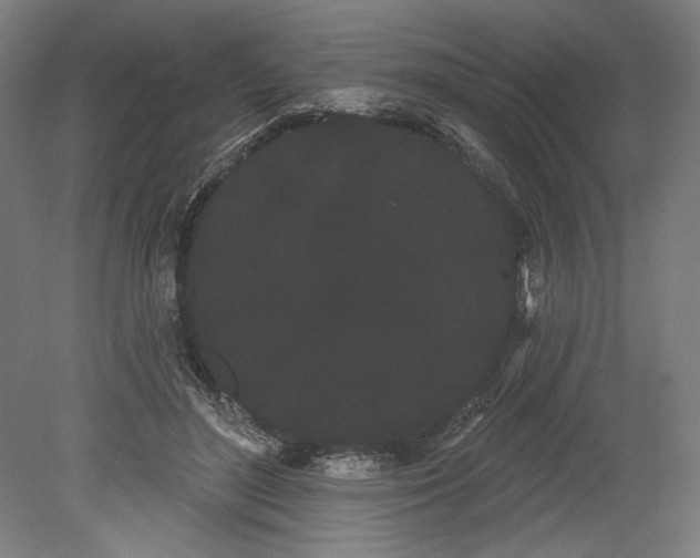 X0000080670500200701051012