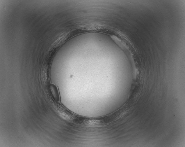 X0000080670501200701051012