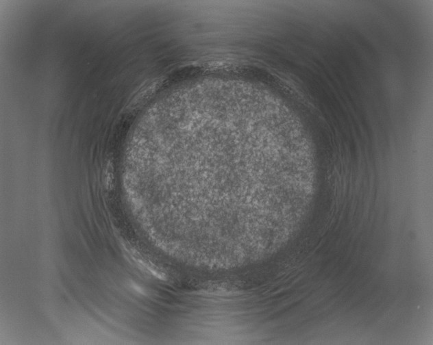 X0000080670502200701051012