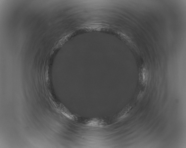 X0000080670504200701051012