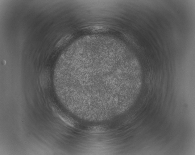 X0000080670506200701051012