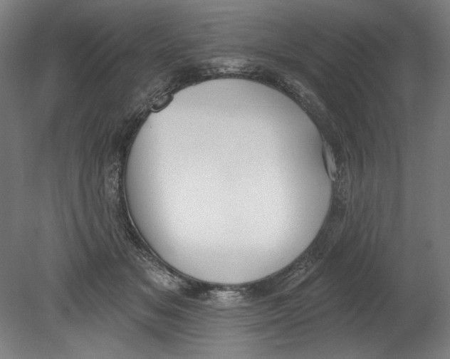 X0000080670509200701051012