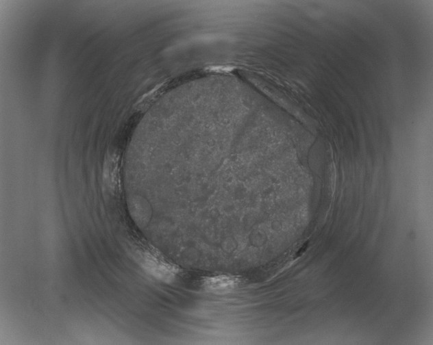 X0000080670511200701051012