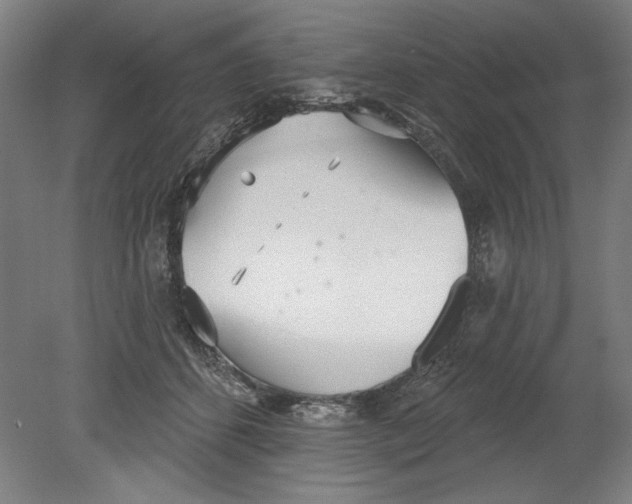 X0000080670512200701051012