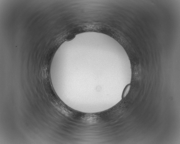 X0000080670514200701051012