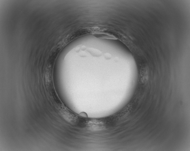 X0000080670515200701051012