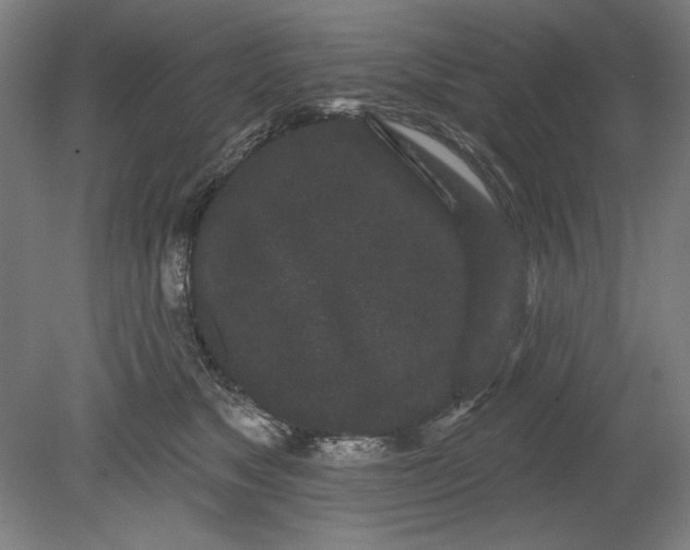 X0000080670517200701051012