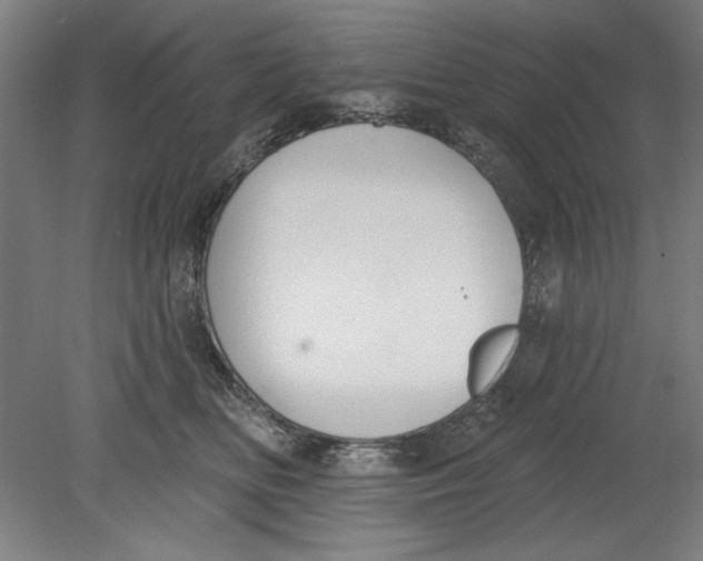 X0000080670518200701051012