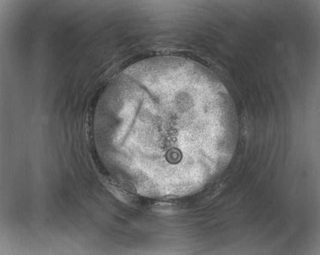 X0000080670519200701051012