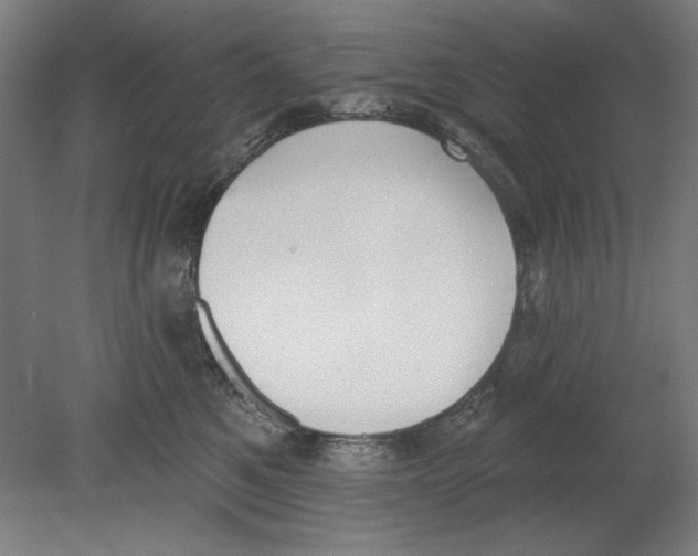 X0000080670521200701051011